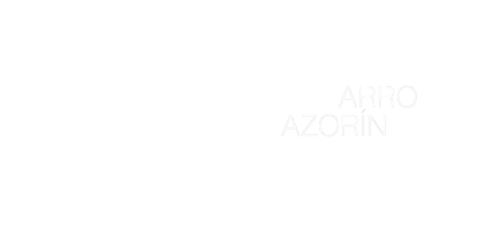 Navarro logo